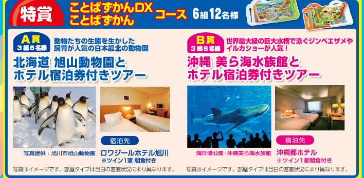 特賞　ことばずかんDX・ことばずかんコース　6組12名様　A賞3組6名様　北海道　旭山動物園とホテル宿泊券付ツアー　宿泊先　ロジワールホテル旭川　※ツイン1室朝食付き　B賞　沖縄　美ら海水族館とホテル宿泊券付ツアー　宿泊先　沖縄都ホテル　※ツイン1室朝食付き