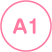 A1