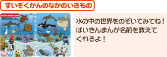 すいぞくかんのなかのいきもの　水の中の世界をのぞいてみてね！ばいきんまんが名前を教えてくれるよ！