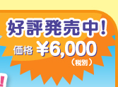 好評発売中！価格¥6,000（税別）
