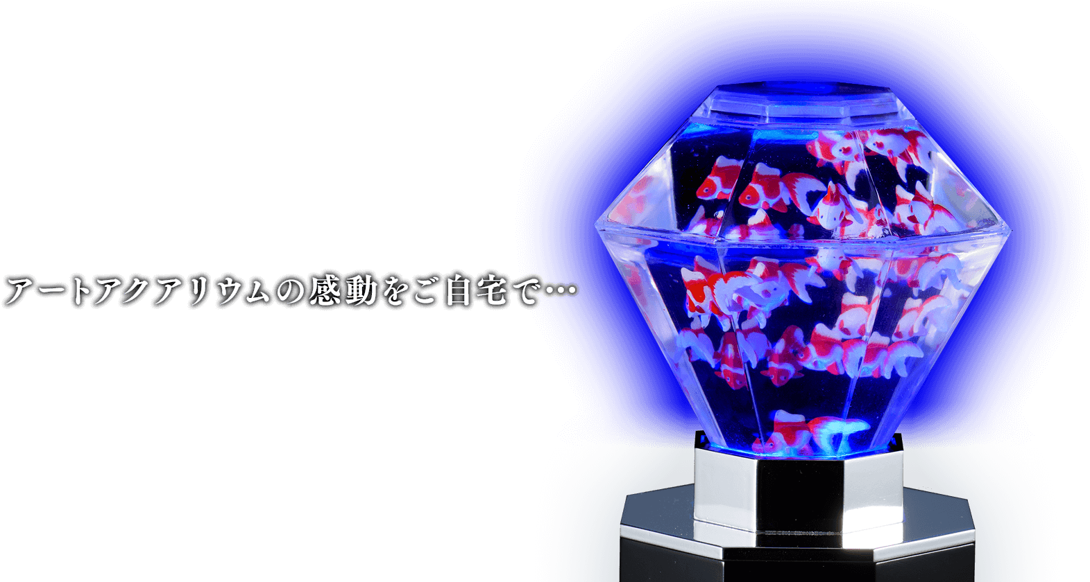 アートアクアリウムとは セガトイズ