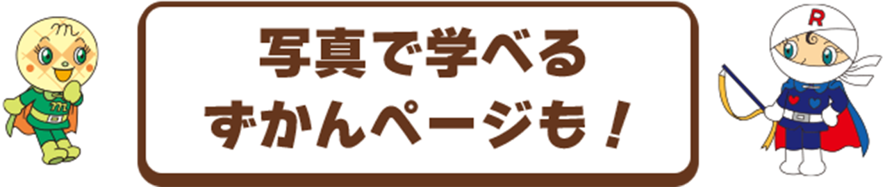 写真で学べるずかんページも！