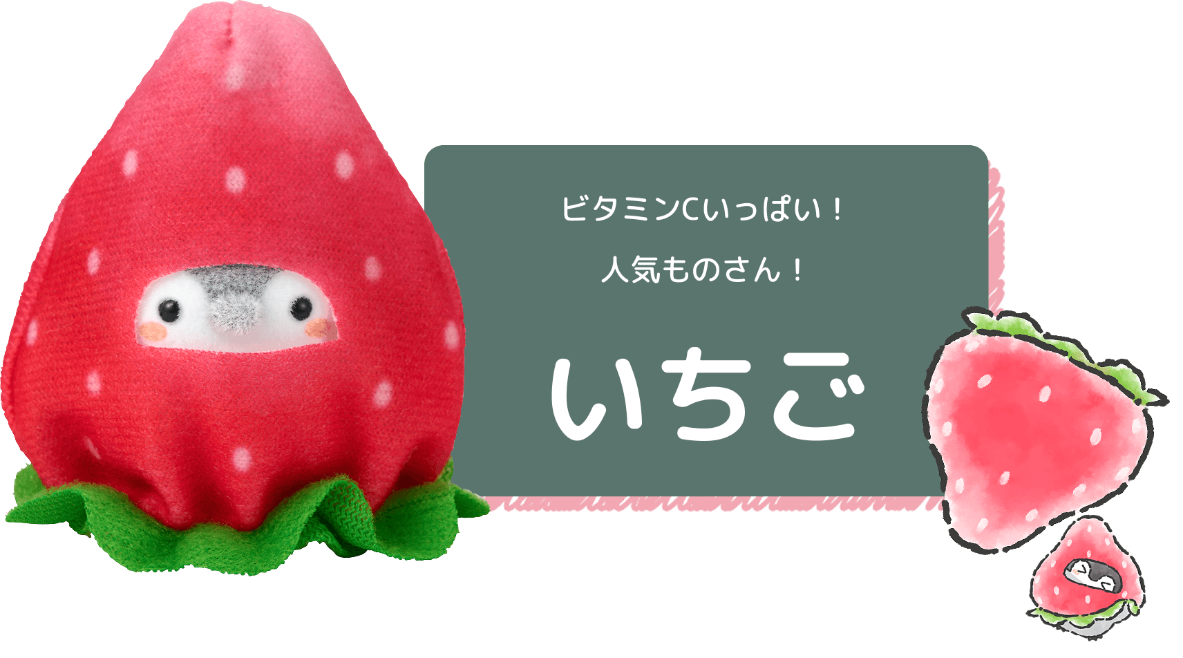 ビタミンCいっぱい！人気ものさん！ いちご