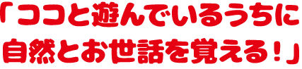 「ココと遊んでいるうちに自然とお世話を覚える！」