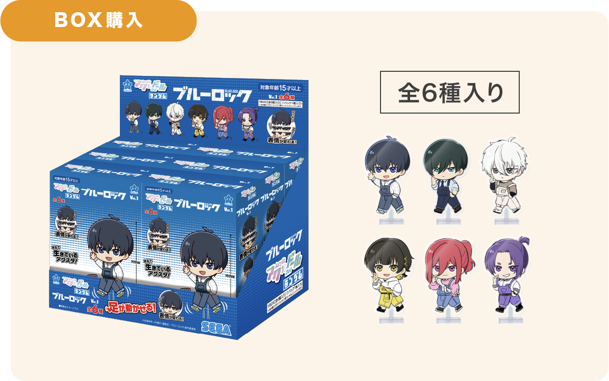 BOX購入 全6種入り