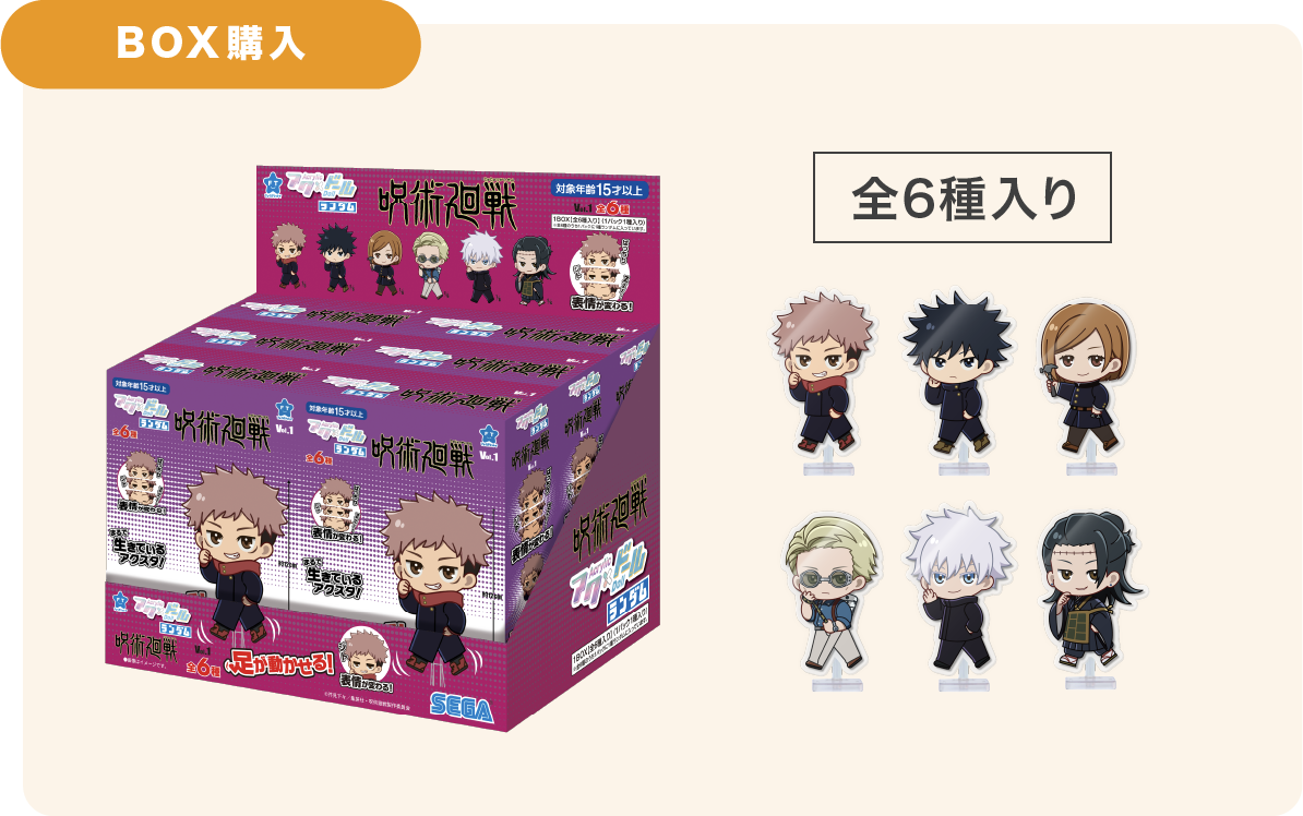 BOX購入 全6種入り