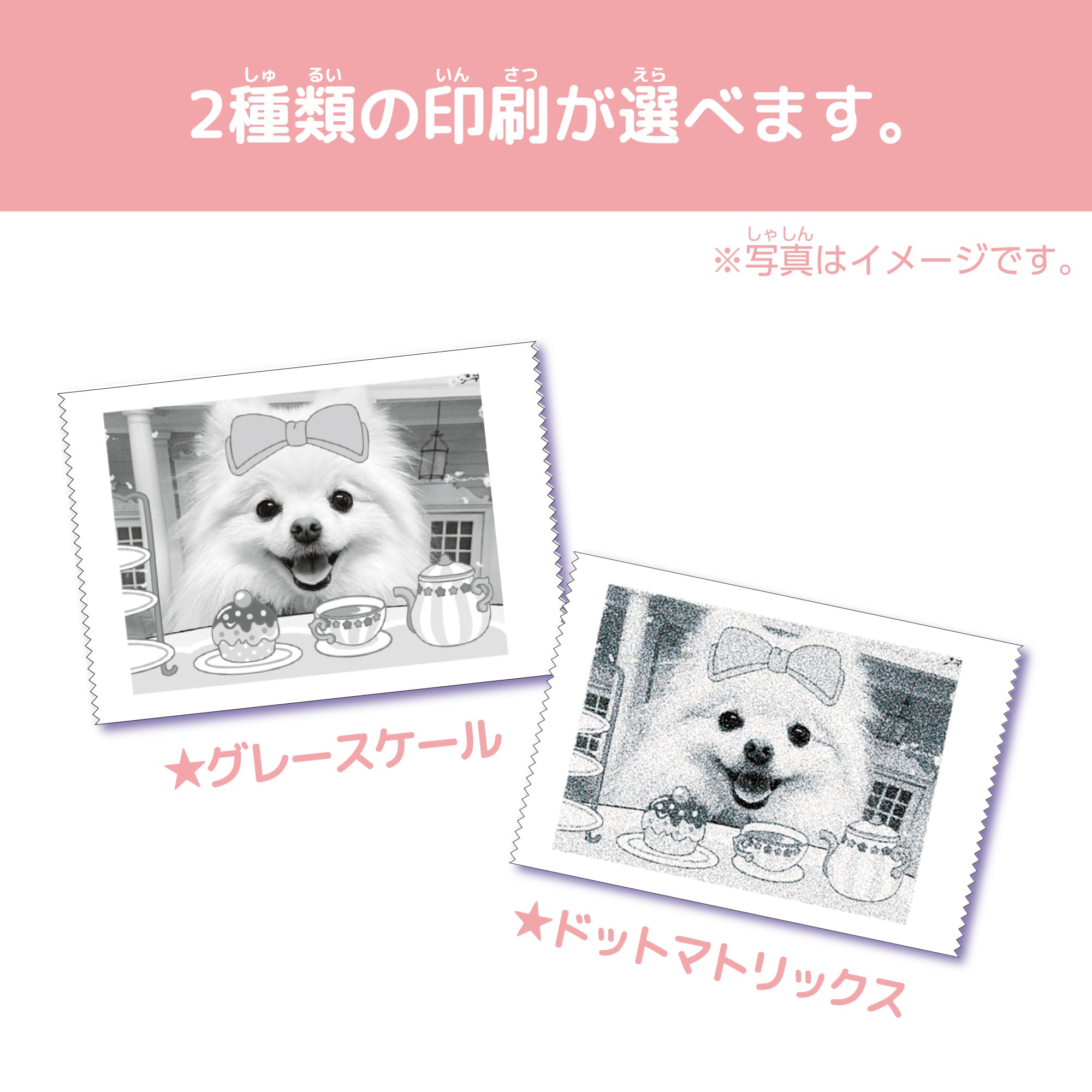 PRINT CAMERA プリカ マカロンピンク｜セガ フェイブ トイ製品情報公式