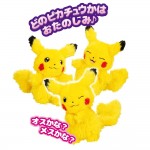 Who Are You ポケモン セガトイズ Who Are You ポケモン セガトイズ