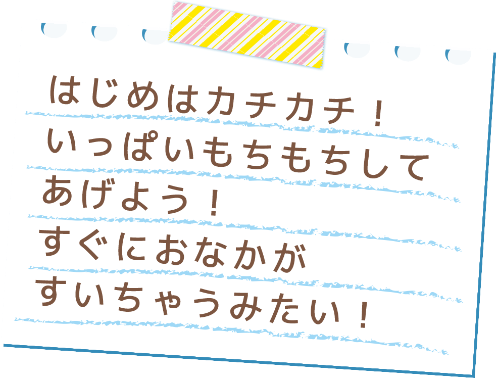 はじめはカチカチ！いっぱいもちもちしてあげよう！すぐにおなかがすいちゃうみたい！