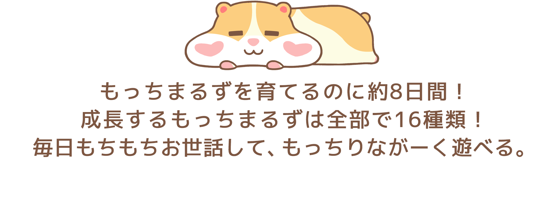 もっちまるずを育てるのに約8日間！成長するもっちまるずは全部で16種類！毎日もちもちお世話して、もっちりながーく遊べる。