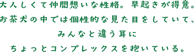 大人しくて仲間想いな性格。早起きが得意。 お茶犬の中では個性的な見た目をしていて、みんなと違う耳に、ちょっとコンプレックスを抱いている。