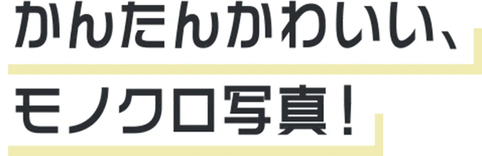 スマホじゃ撮れない、アナログ可愛い写真
