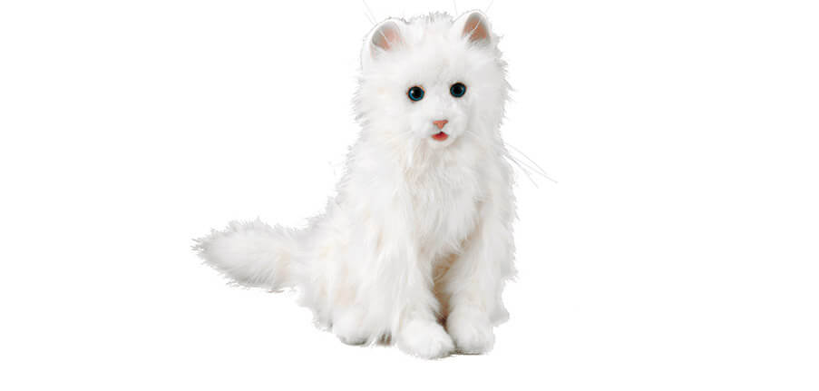 夢ねこプレミアム