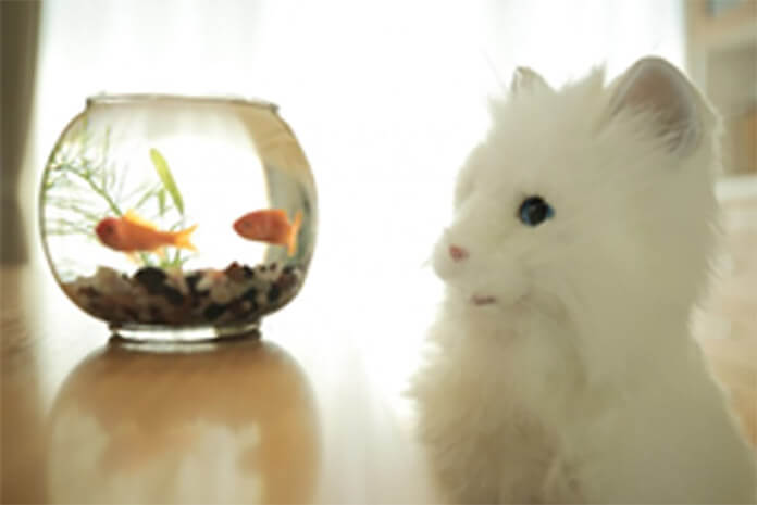 夢ねこプレミアム