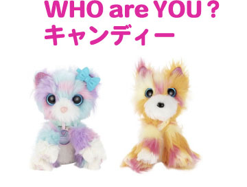 Who Are You ふーあーゆー セガトイズ Who Are You ふーあーゆー セガトイズ